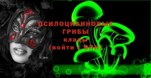 круглые Няндома