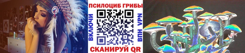 наркота  Суоярви  Галлюциногенные грибы Psilocybine cubensis 